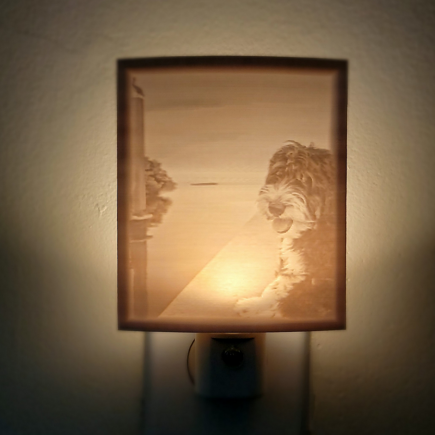LED 3D Printed Lithophane Night Light (Personalized)