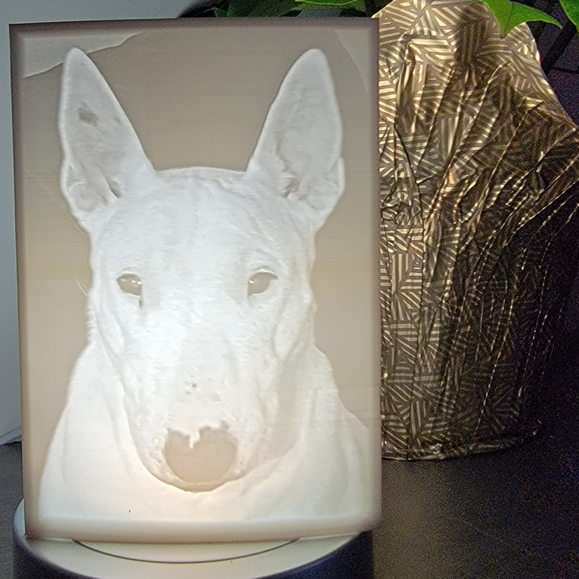 Black and White Photo Lamp