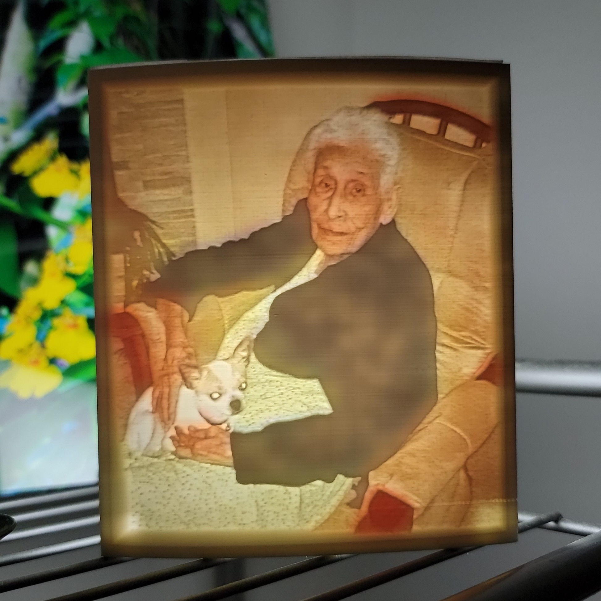 Photo Lamp in color