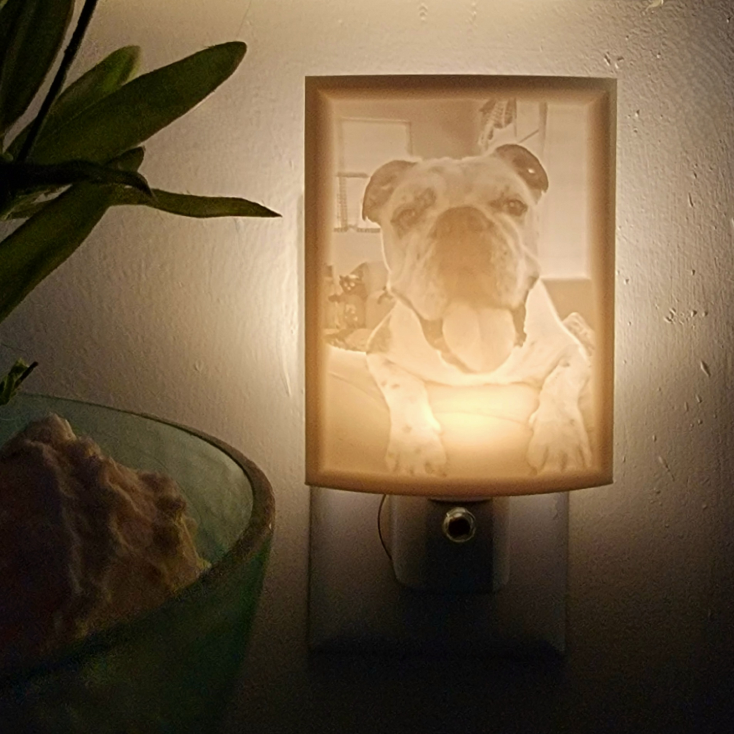 LED 3D Printed Lithophane Night Light (Personalized)